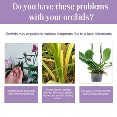 Plant Nutrition Liquid Flower Fertilizer Orchid Special Compound Growth Hydroponic Garden Plant Supplementing Nutrition Liquid