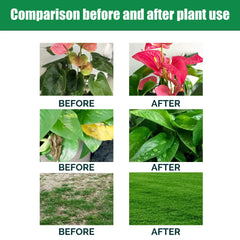 Indoor Potted Plant Fertilizer Universal Slow Release Nutrient Flowers Nitrogen Phosphorus Potted Succulent Organic Fertilizer