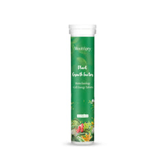 Indoor Potted Plant Fertilizer Universal Slow Release Nutrient Flowers Nitrogen Phosphorus Potted Succulent Organic Fertilizer