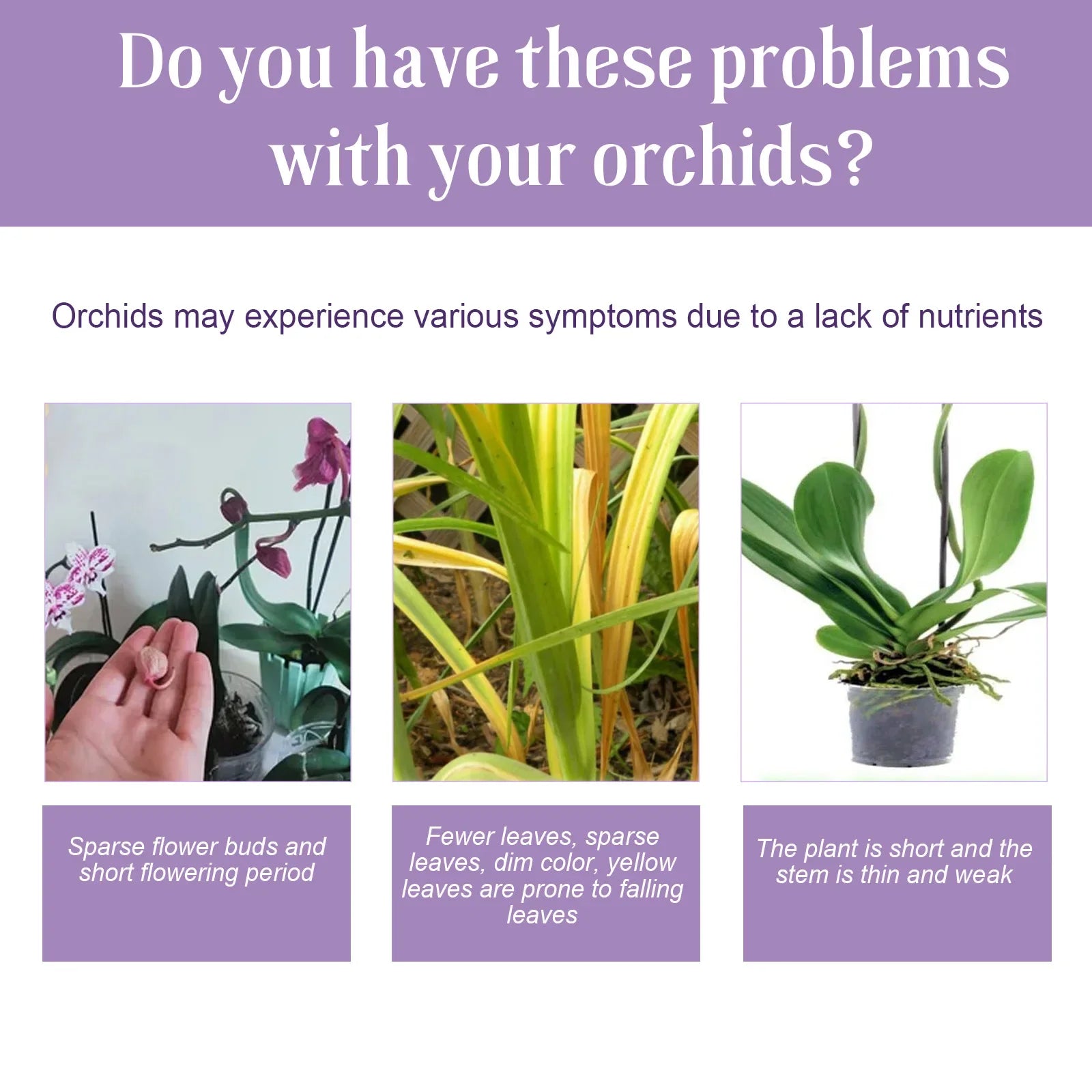 Plant Nutrition Liquid Flower Fertilizer Orchid Special Compound Growth Hydroponic Garden Plant Supplementing Nutrition Liquid