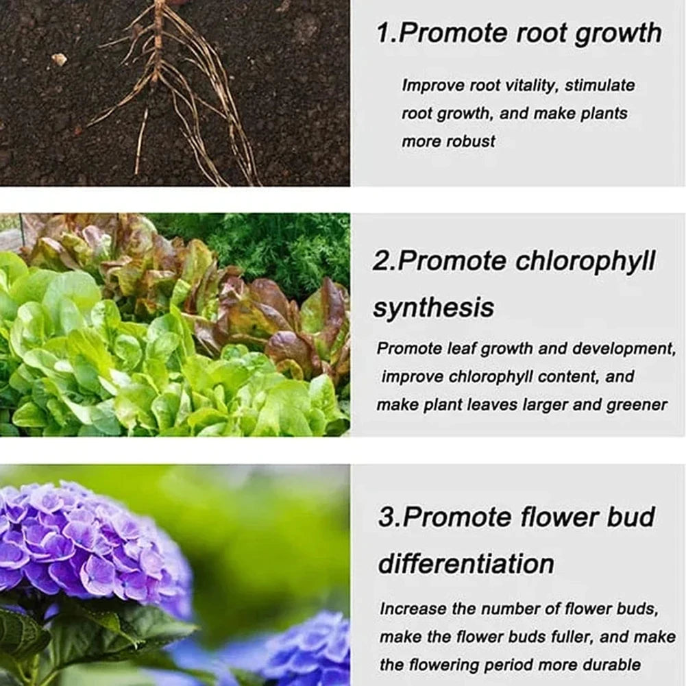 Gardening Organic Fertilizer Potted Succulent Organic Fertilizer Nutrient Slow Release for Foliage Plants Fruit Grow