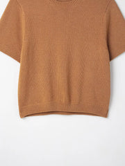2025 Spring New Product Women's Short Sleeve Simple And Versatile Fashion Commuter Flat Needle Knitted Hoodie Top