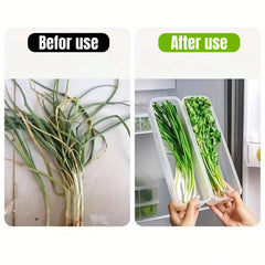 1/2/4Pcs Refrigerator Storage Boxes With Lid Plastic Fresh Keeping Box Kitchen Scallions Cilantro Eggs Noodles Sealed Container