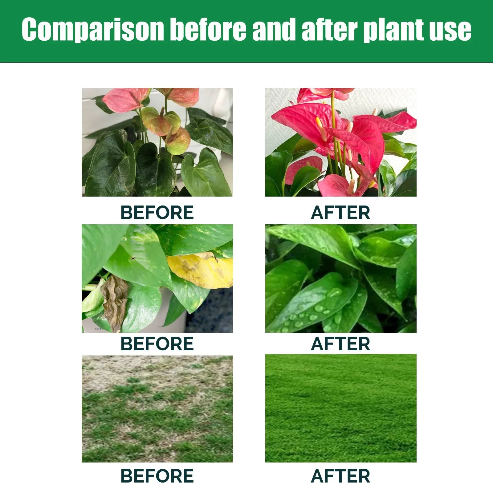 Indoor Potted Plant Fertilizer Universal Slow Release Nutrient Flowers Nitrogen Phosphorus Potted Succulent Organic Fertilizer