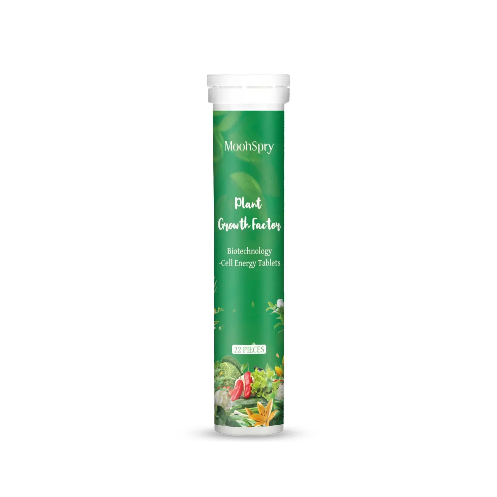 Indoor Potted Plant Fertilizer Universal Slow Release Nutrient Flowers Nitrogen Phosphorus Potted Succulent Organic Fertilizer