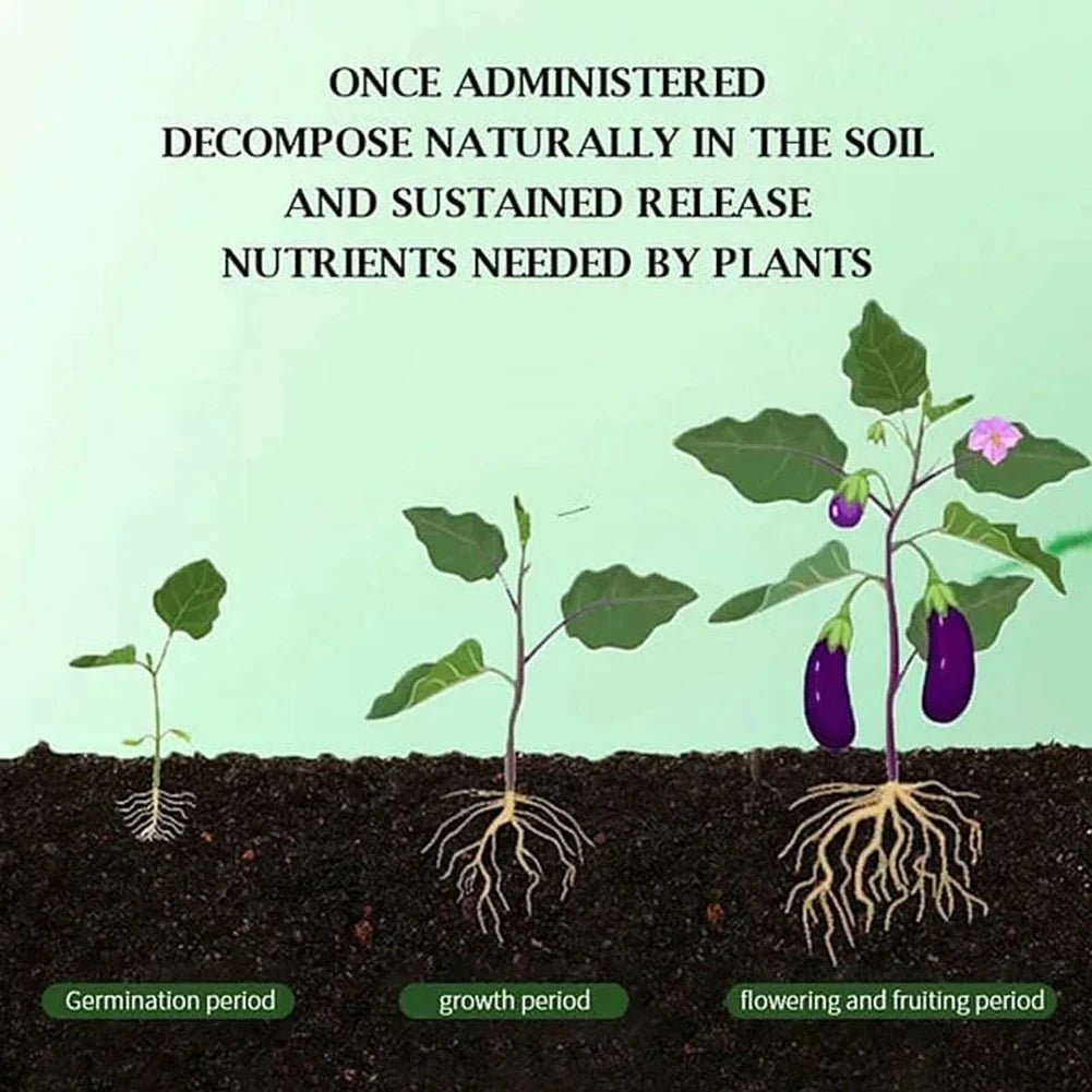 Gardening Organic Fertilizer Potted Succulent Organic Fertilizer Nutrient Slow Release for Foliage Plants Fruit Grow