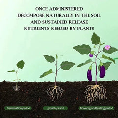 Gardening Organic Fertilizer Potted Succulent Organic Fertilizer Nutrient Slow Release for Foliage Plants Fruit Grow